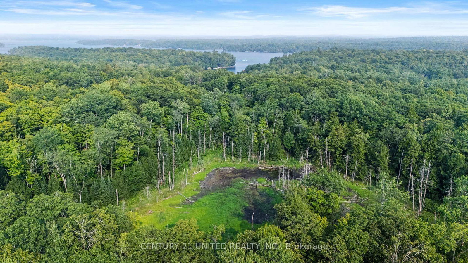 2039 County Road 620 • North Kawartha, ON photo 8