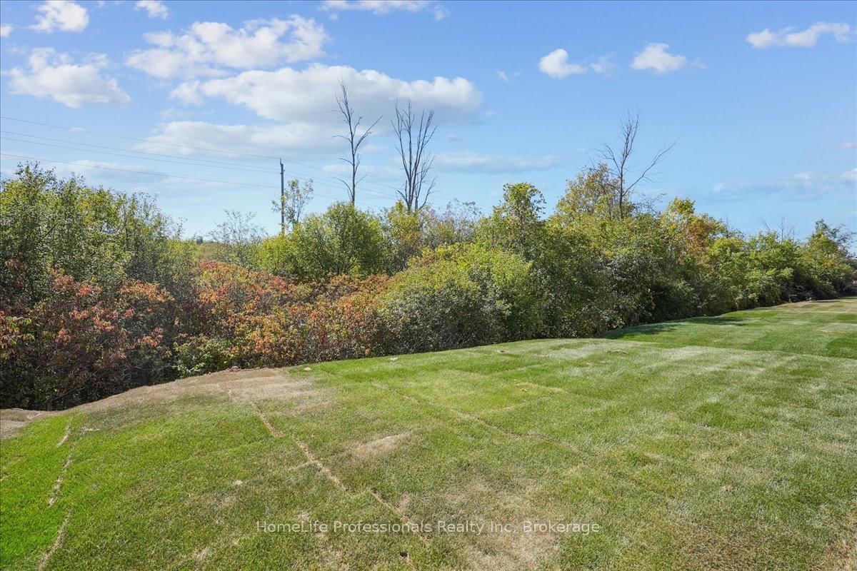 Listing Image 39