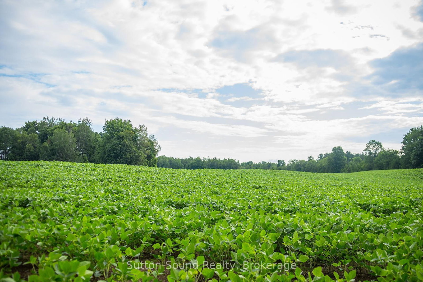 PL11-12 10 Side Road • Chatsworth, ON photo 5