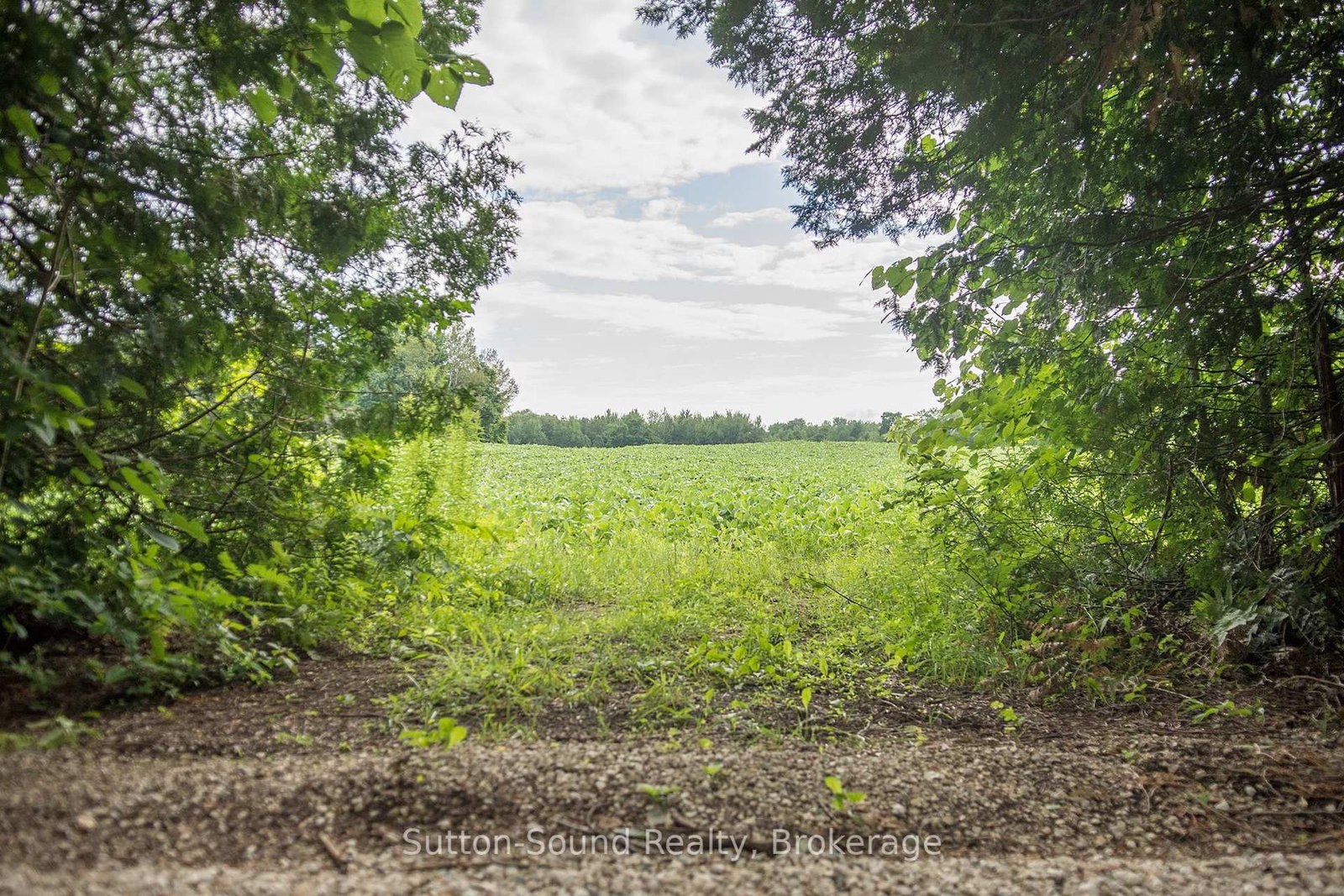 PL11-12 10 Side Road • Chatsworth, ON photo 6