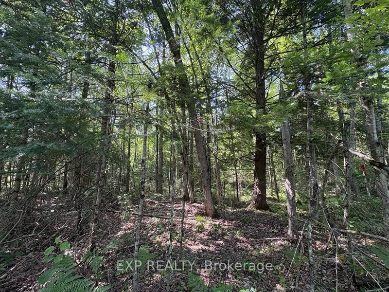 0 Lot 1 Conc. 2 Part 4 Boundary Rd, Alfred and Plantagenet, K0B 1L0 | Image 3