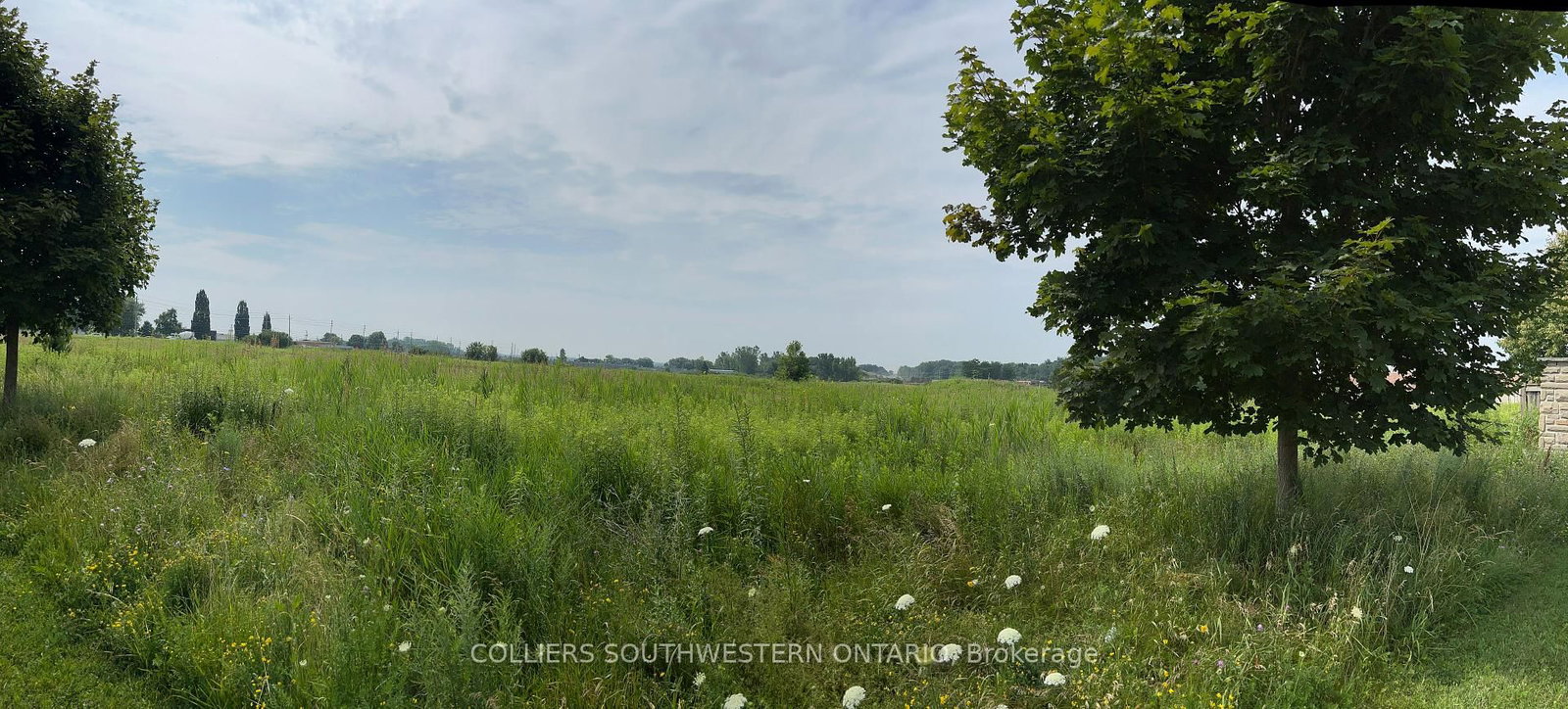 2947 Bateman Trail - Photo 4