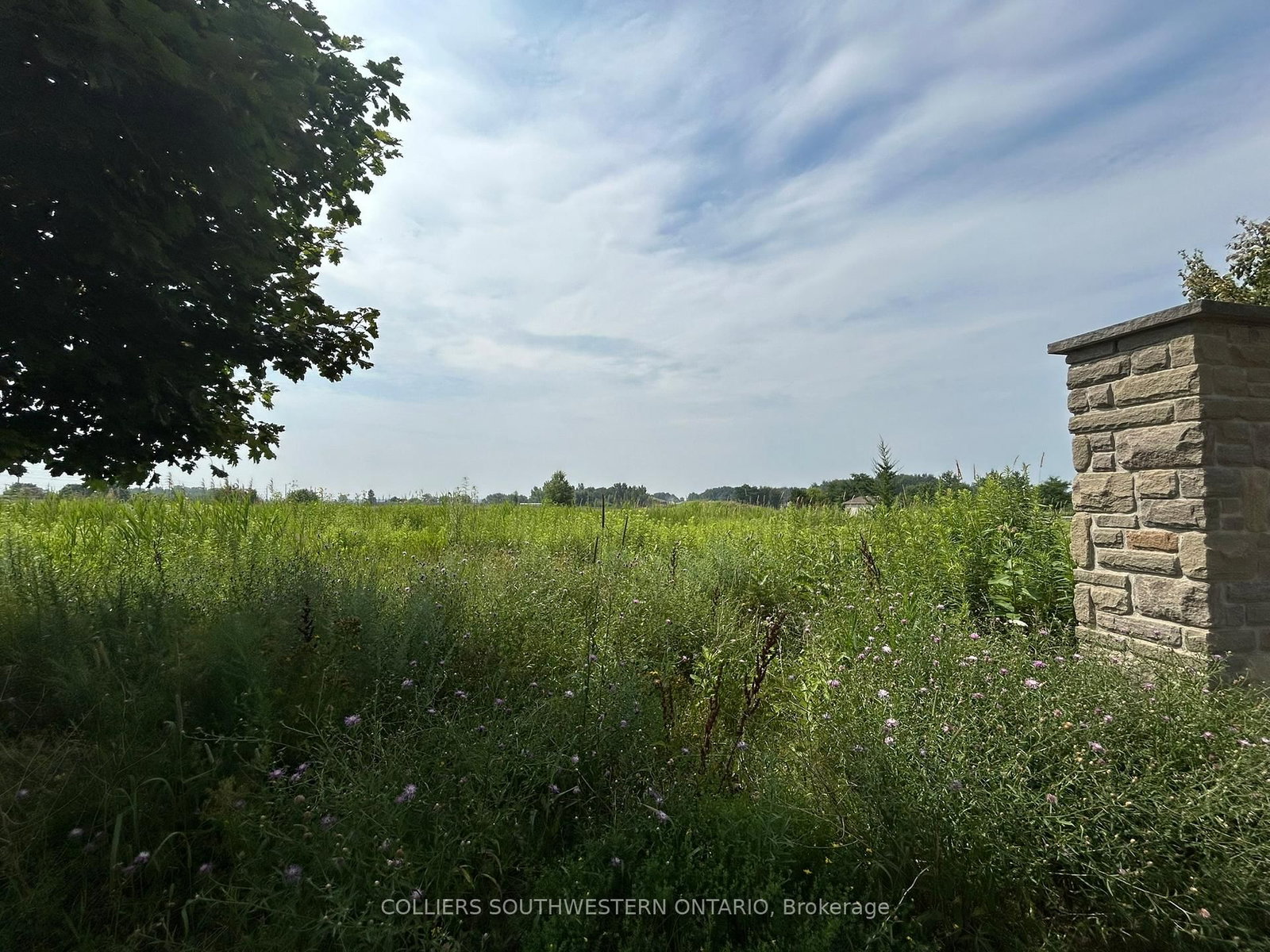 2947 Bateman Trail - Photo 5