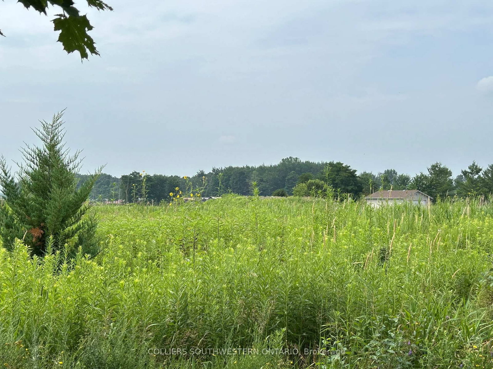 2947 Bateman Trail - Photo 7