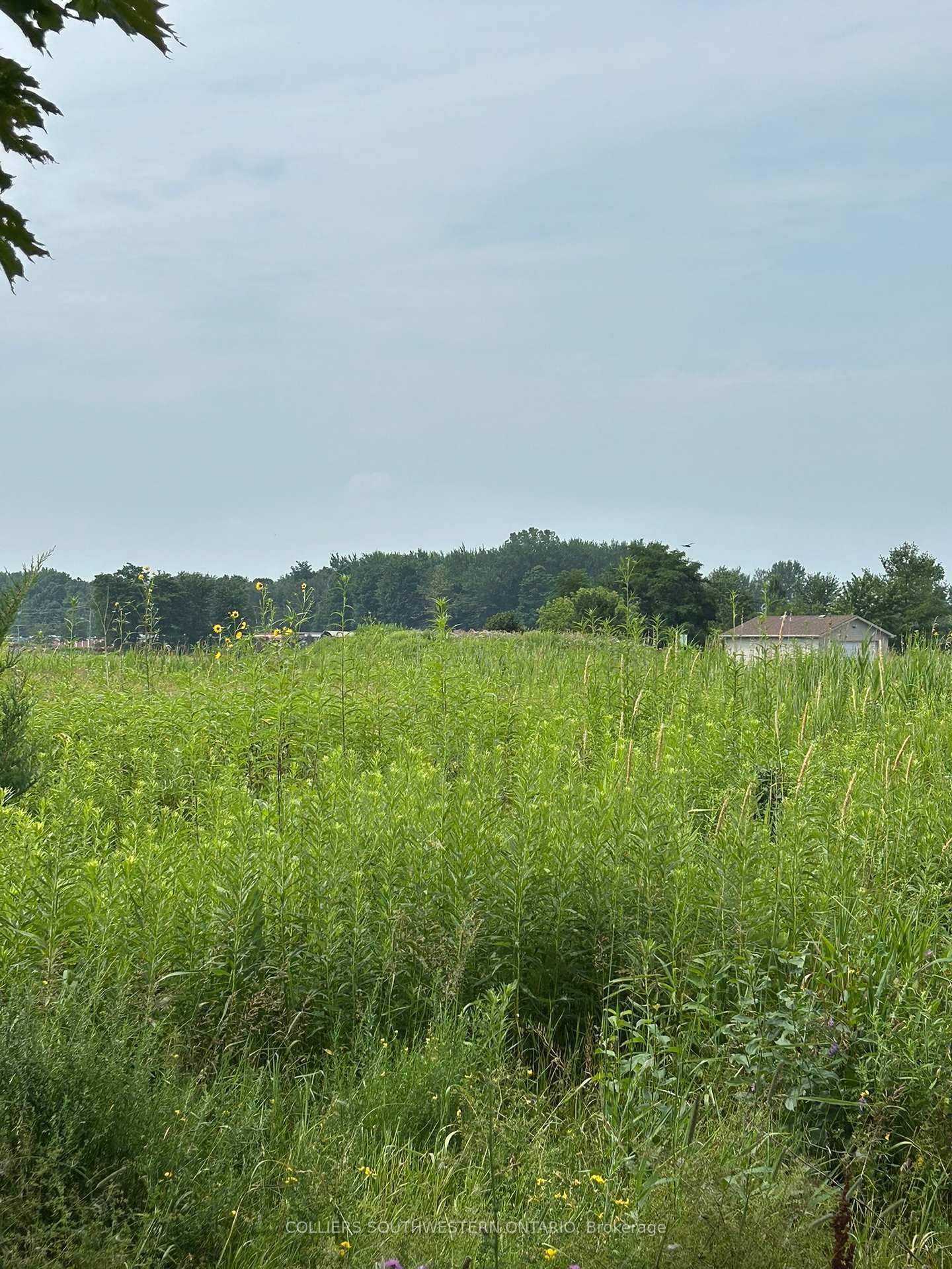 2947 Bateman Trail - Photo 8