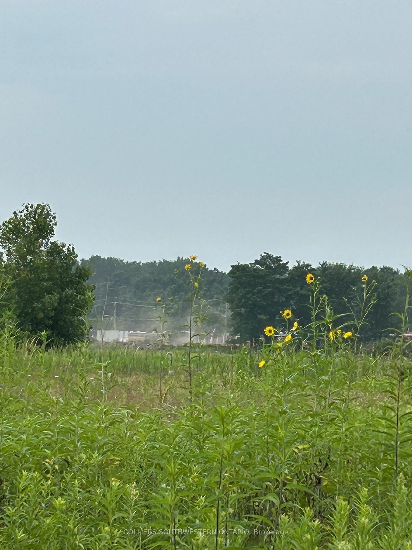 2947 Bateman Trail - Photo 9