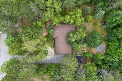 4 MURCHISON Road — photo 4