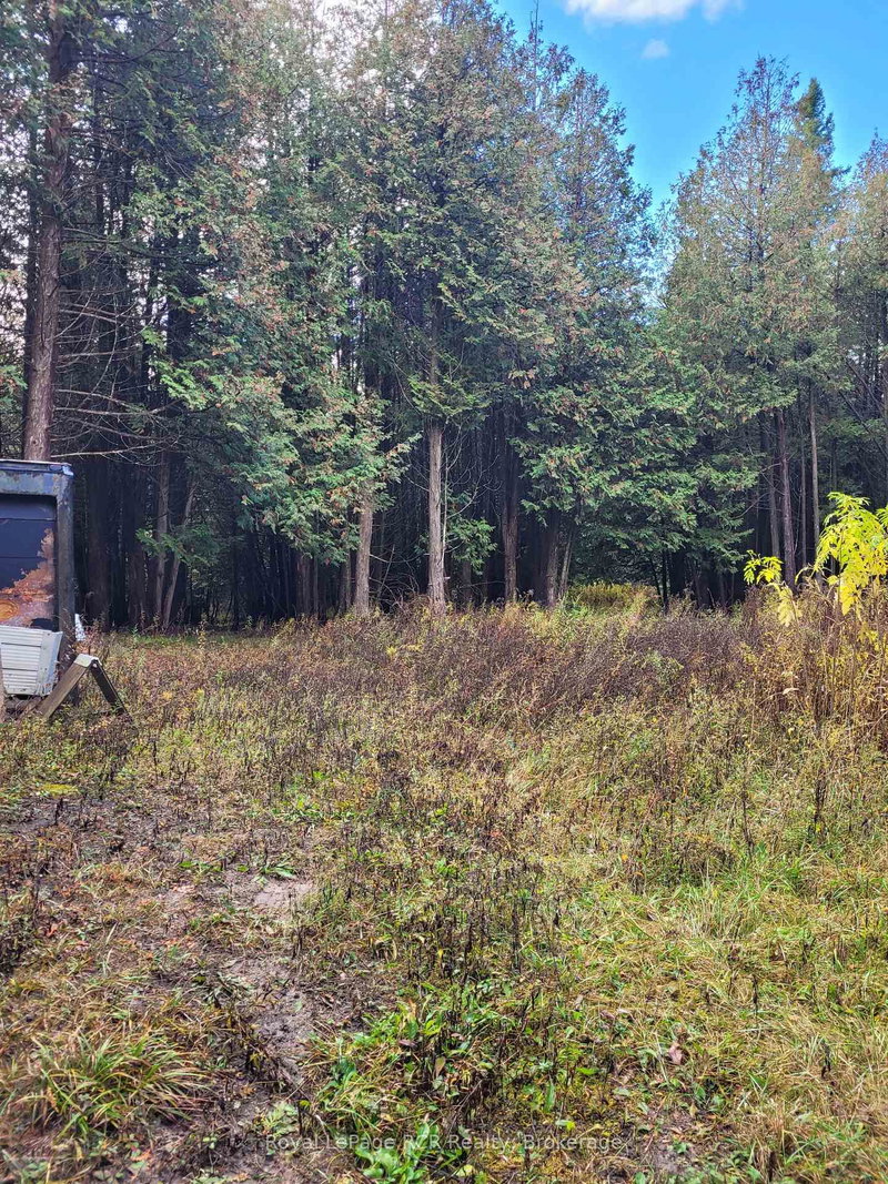 PT LT88 HIGHWAY 10, West Grey, N0C 1H0 | Image 3