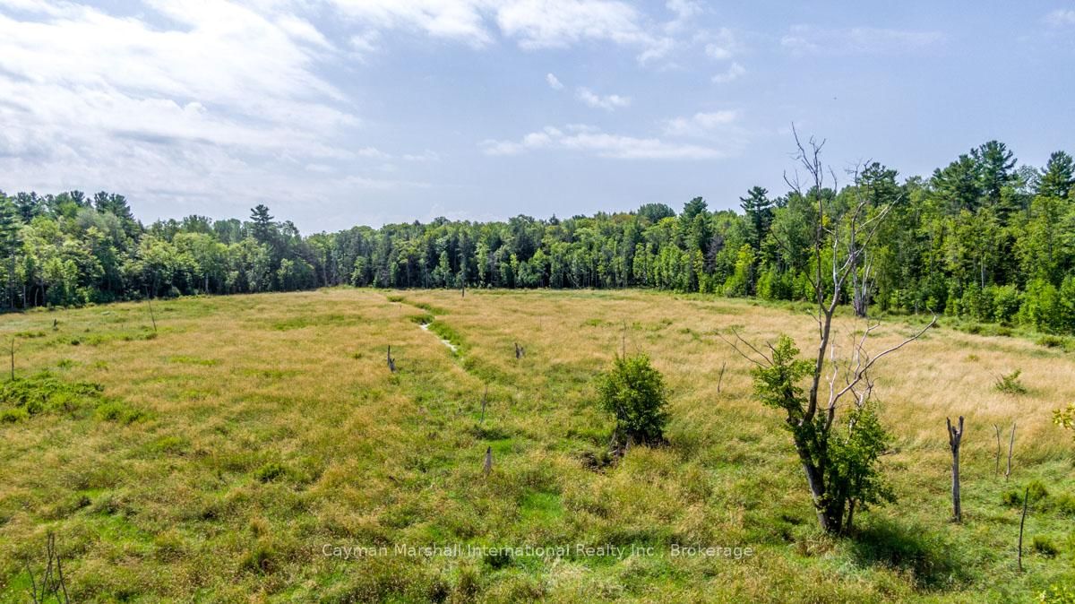 1711 Delmonte Road - Photo 26