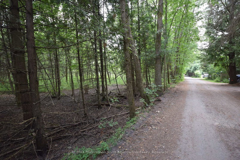 0 Providence Dr, Algonquin Highlands, K0M 1S0 | Image 3