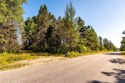 N 254 Pickerel Lake Road — photo 4