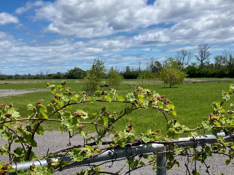 3425 County Rd 10 Road