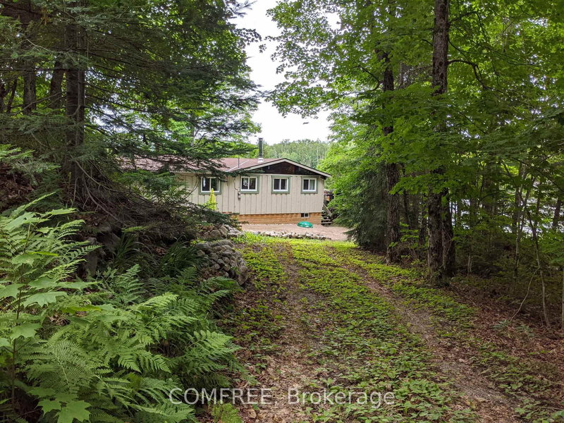 299 Sherwood Dr, Perry, P0A 1R0 | Image 3