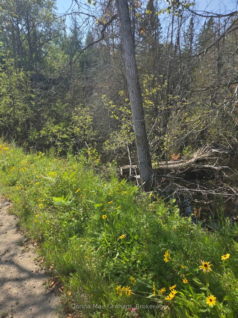 0 MacDuff Road Acre E, Highlands East, K0L 3C0 | Image 3