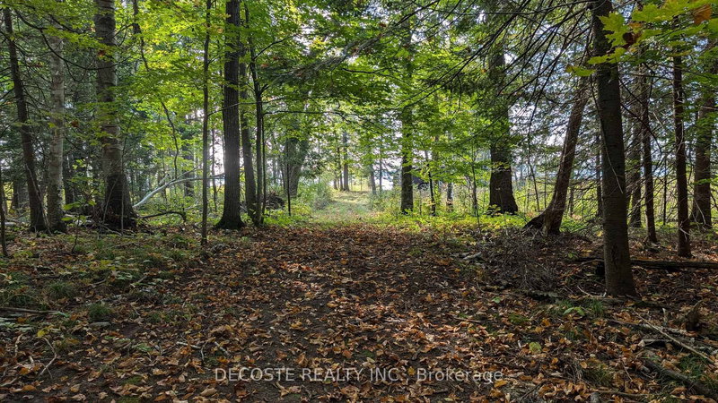 N/A Concession 3 Rd, North Glengarry, K0C 2J0 | Image 2