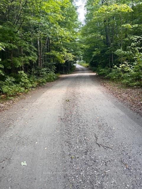 Listing Image 45