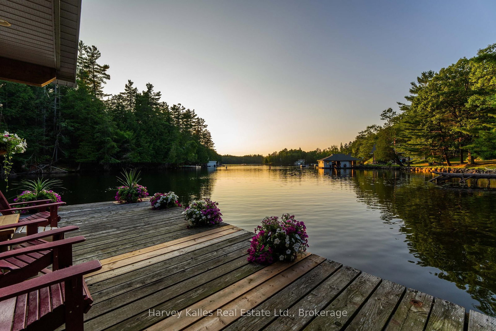 Listing Image 49