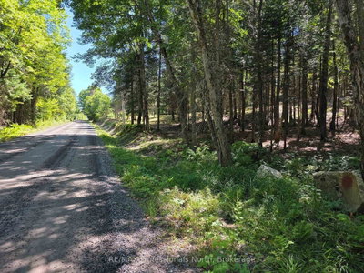 00 Whitney Road • Perry, ON photo 3