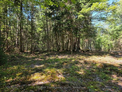 00 Whitney Road • Perry, ON photo 7