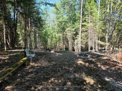 00 Whitney Road • Perry, ON photo 8