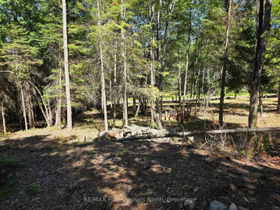 00 Whitney Road • Perry, ON photo 9