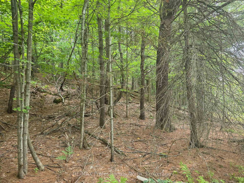 0 Highway 118, Dysart et al, K0M 1S0 | Image 3