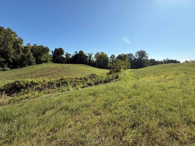 0 Deloro Rd, Madoc, K0K 2K0 | Image 3