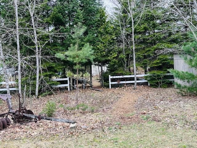 Detached House sold at 1010 Sturgeon Drive, Minden Hills, Ontario, K0M 2K0 - Minden - MLS: X12367553