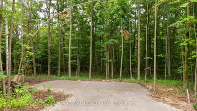 Part 1 Gully Road • Alnwick/Haldimand, ON photo 5
