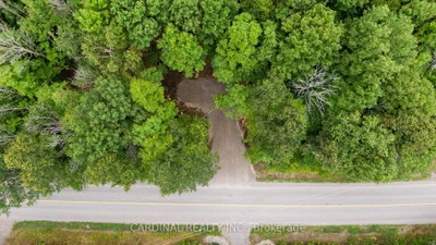 Part 1 Gully Road • Alnwick/Haldimand, ON photo 8