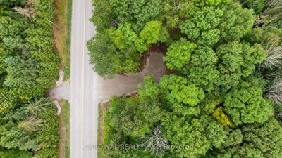 Part 1 Gully Road • Alnwick/Haldimand, ON photo 9