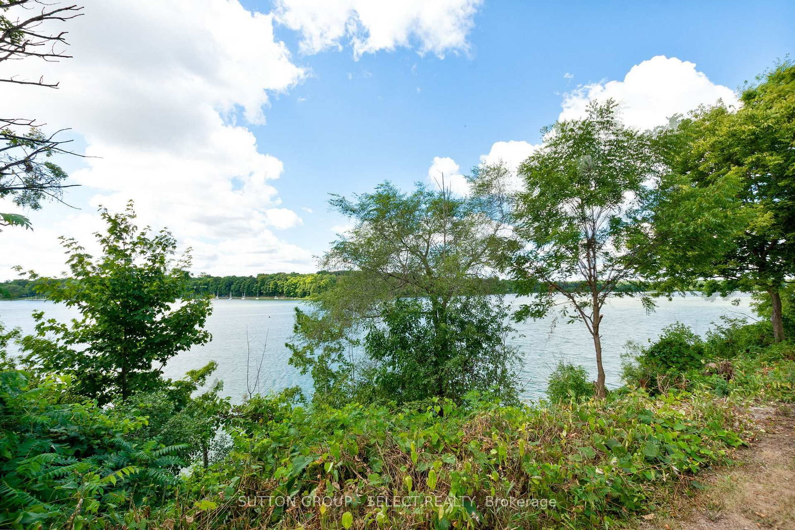 Listing Image 42