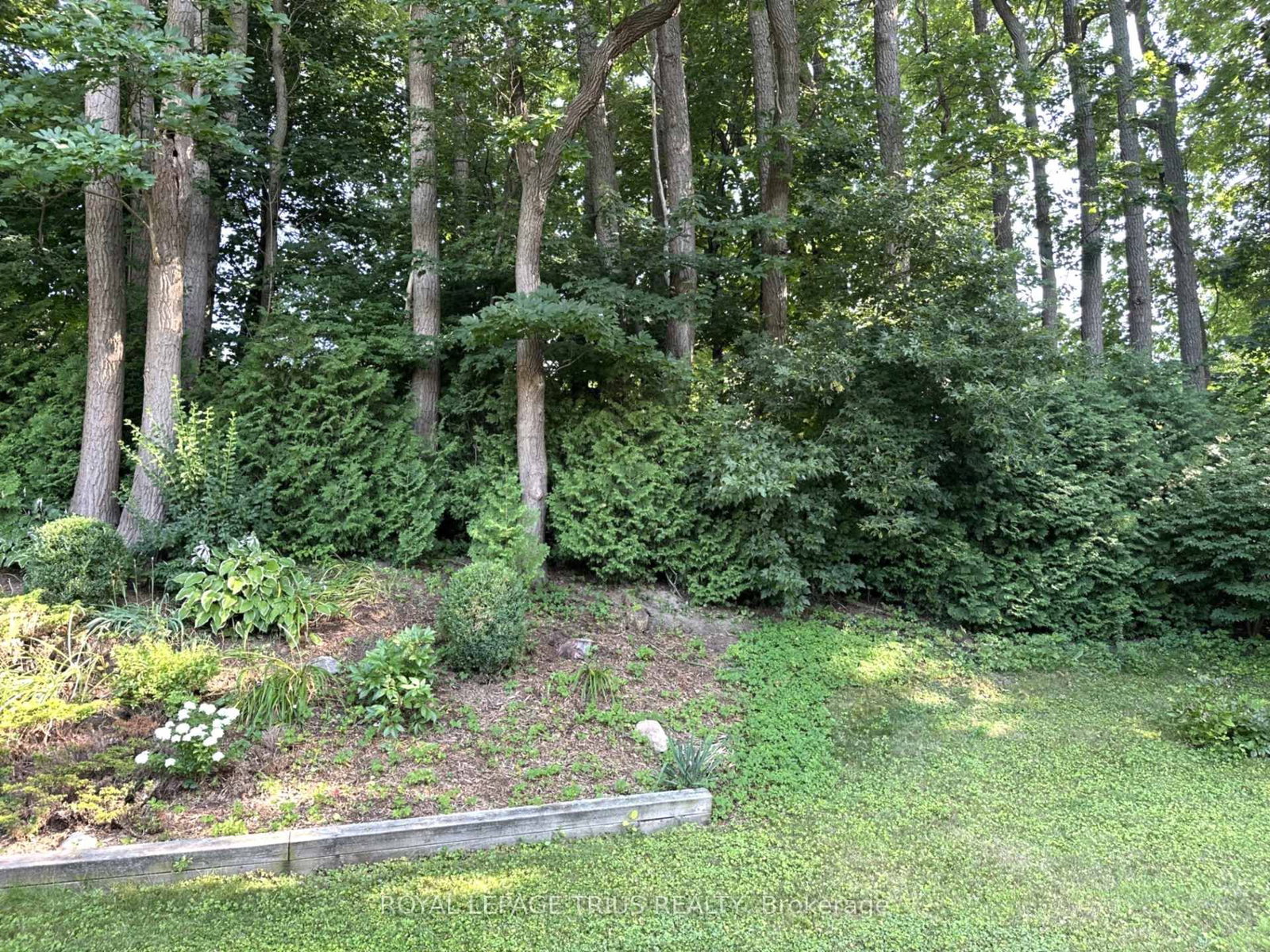 Listing Image 48