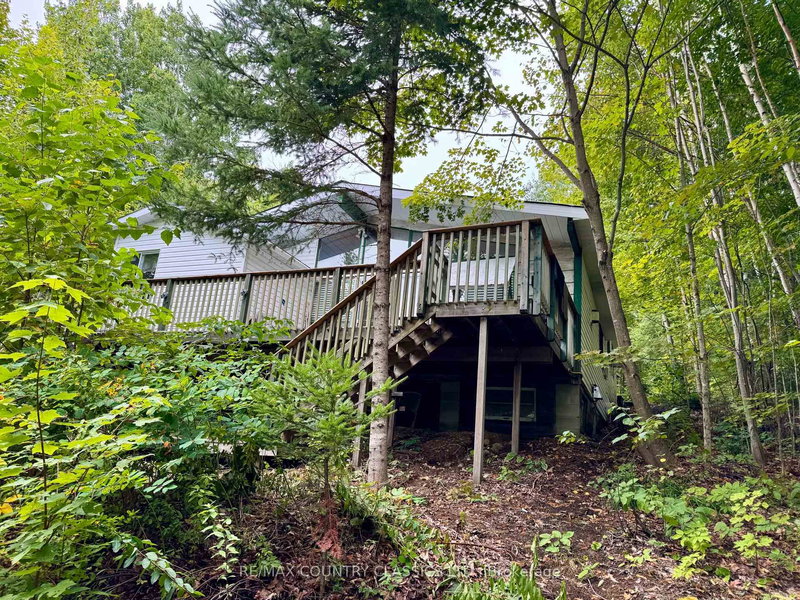 home for sale on 256 Elgin Road