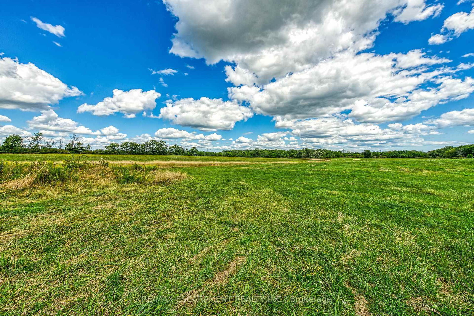 0 Brooklin Road • Haldimand, ON photo 20