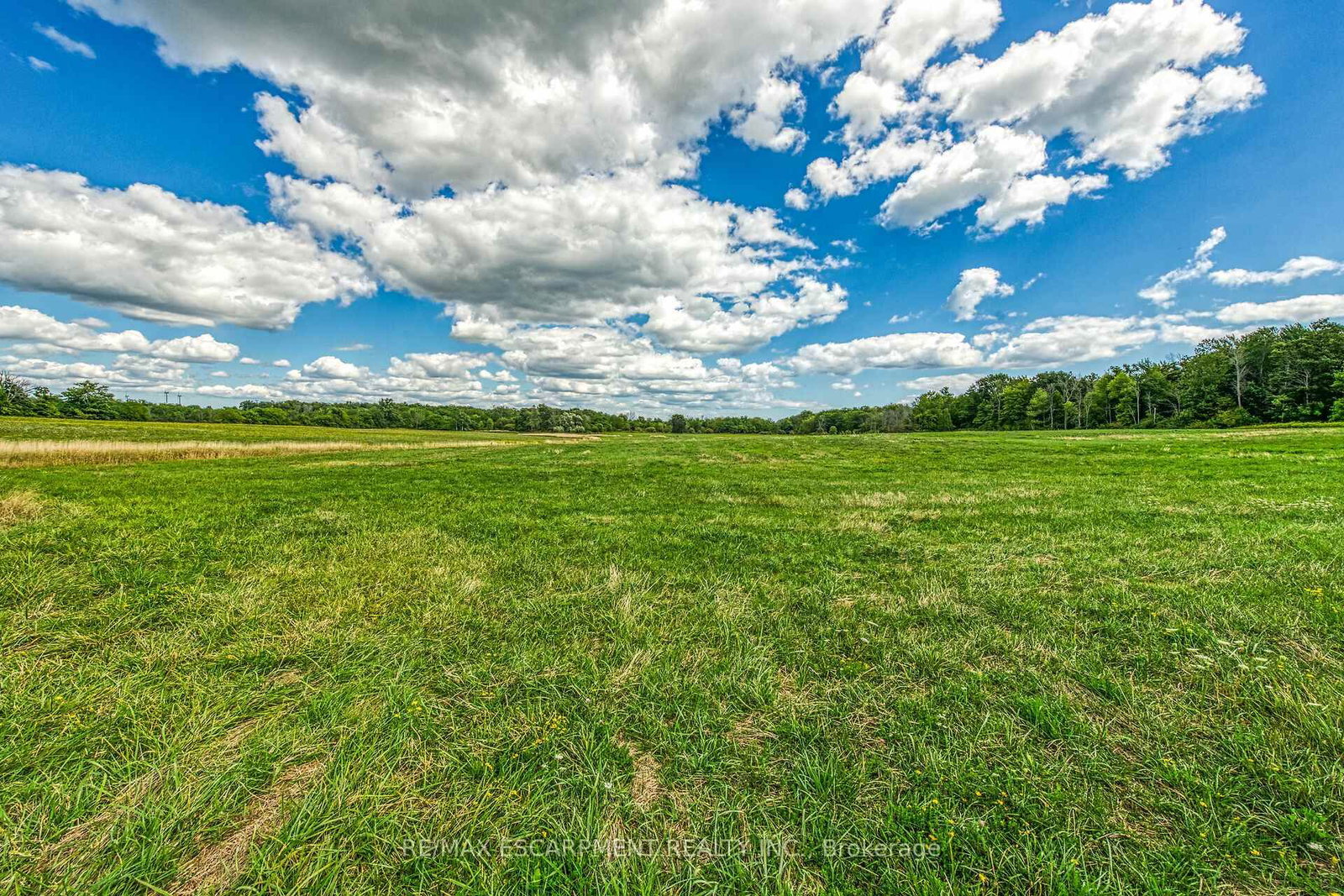 0 Brooklin Road • Haldimand, ON photo 21