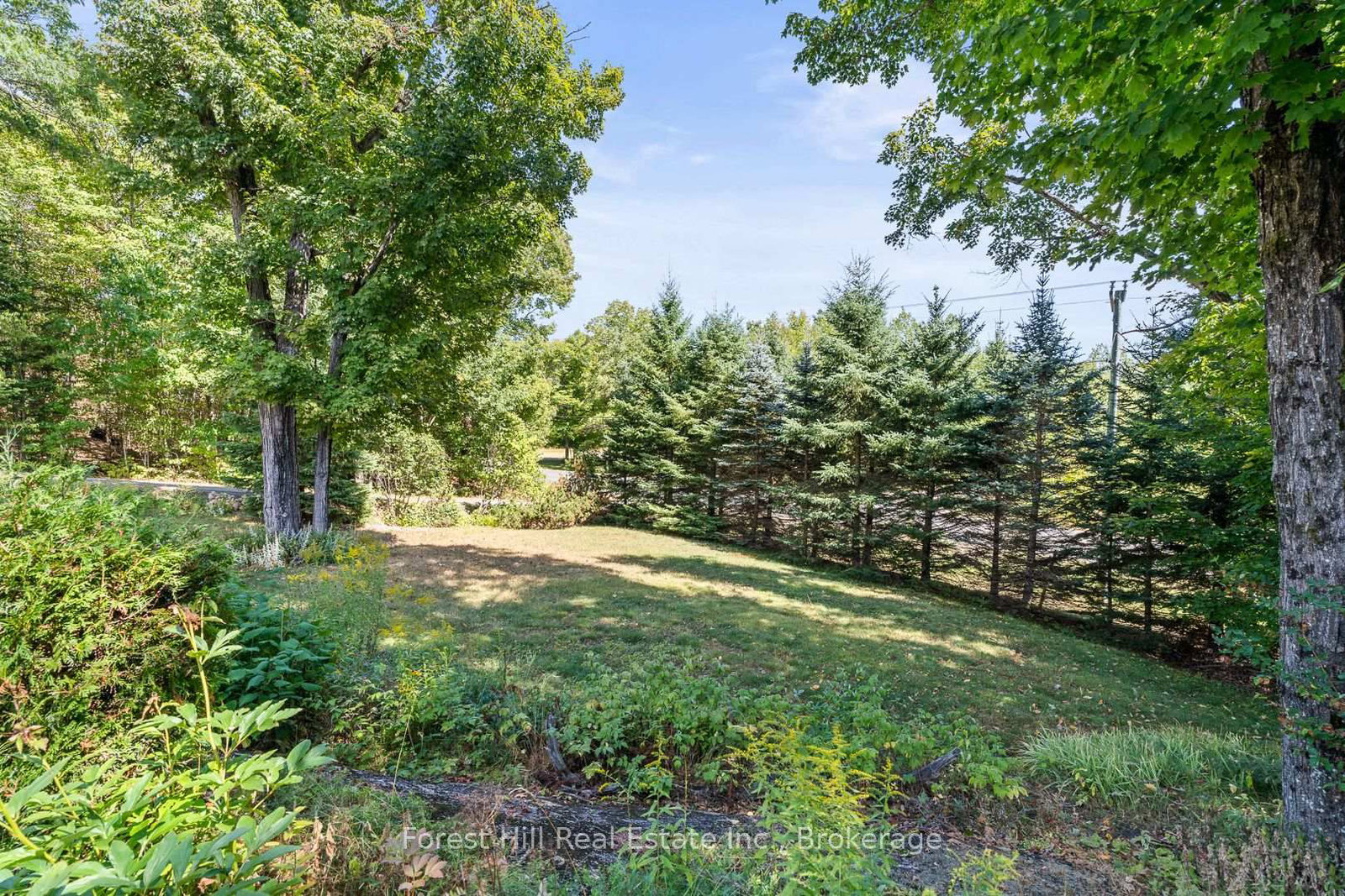 Listing Image 17