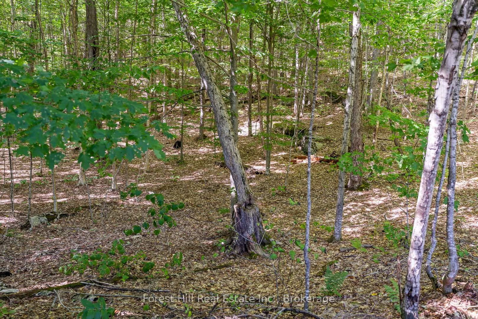 Listing Image 27