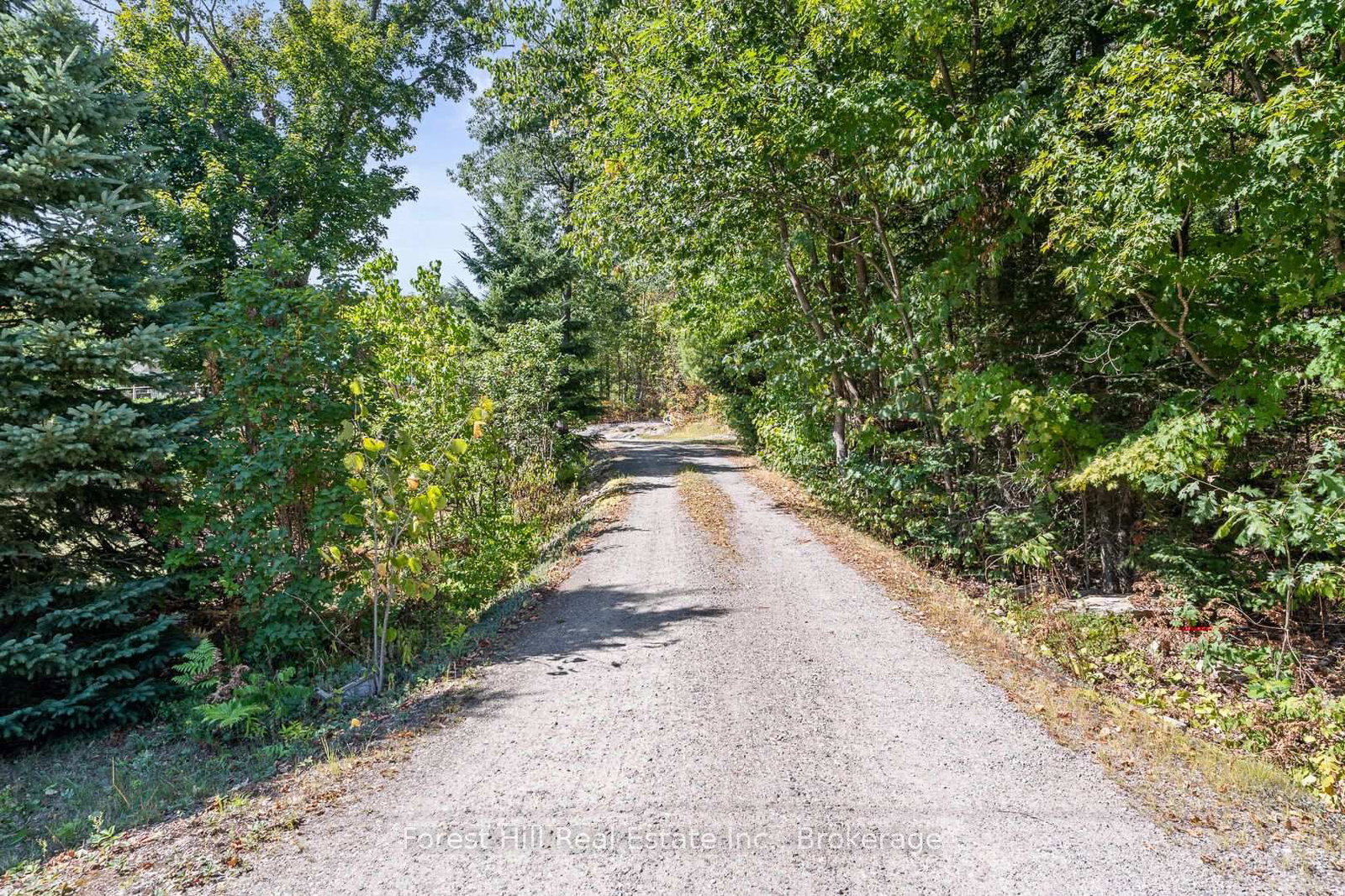 Listing Image 34