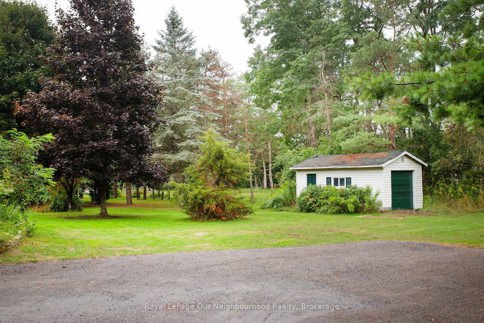 Listing Image 28