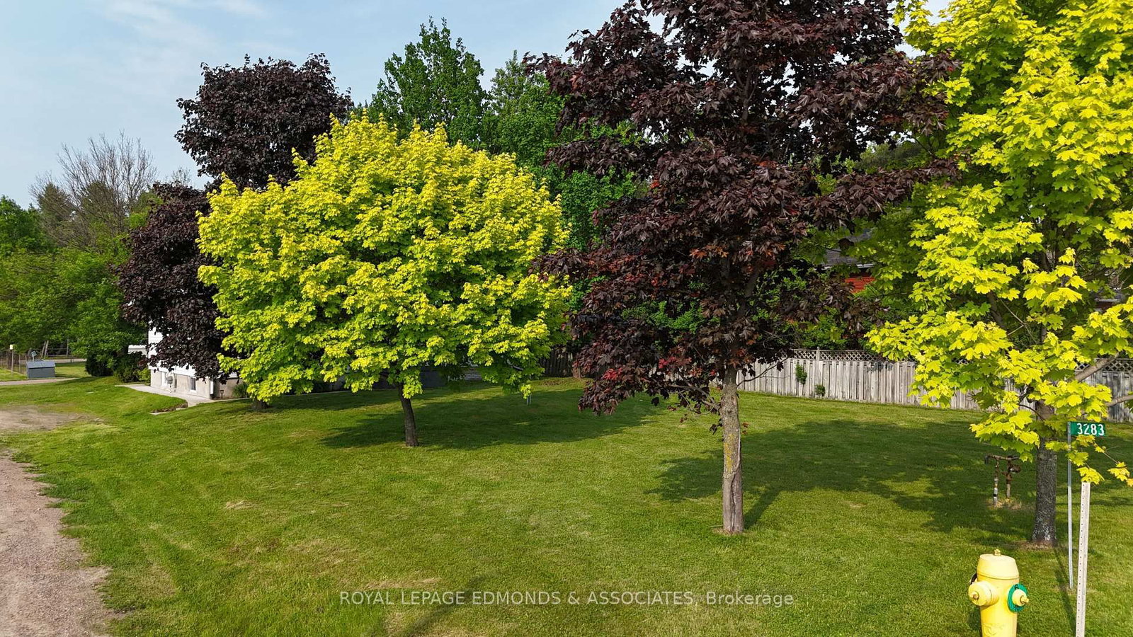 Listing Image 31