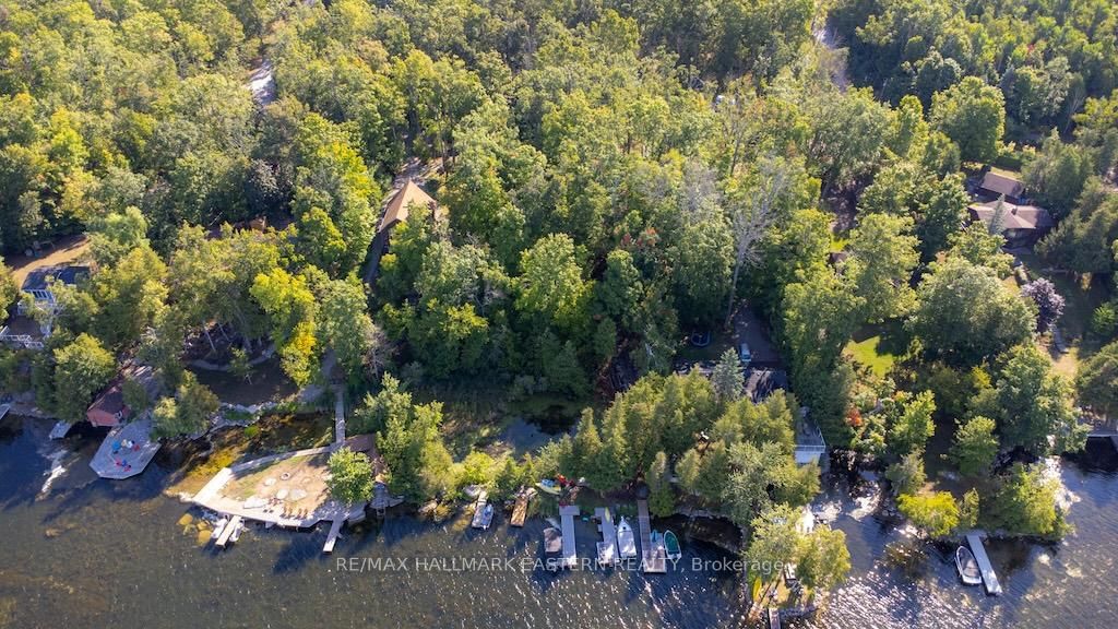 Listing Image 43