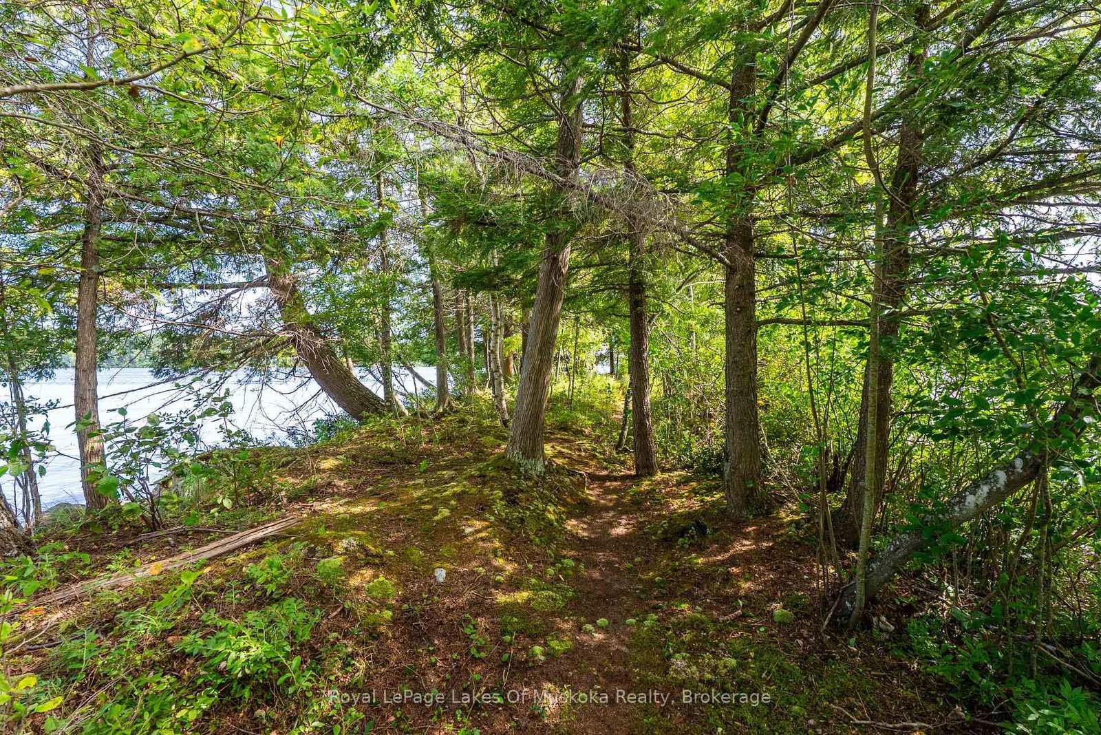 Listing Image 42
