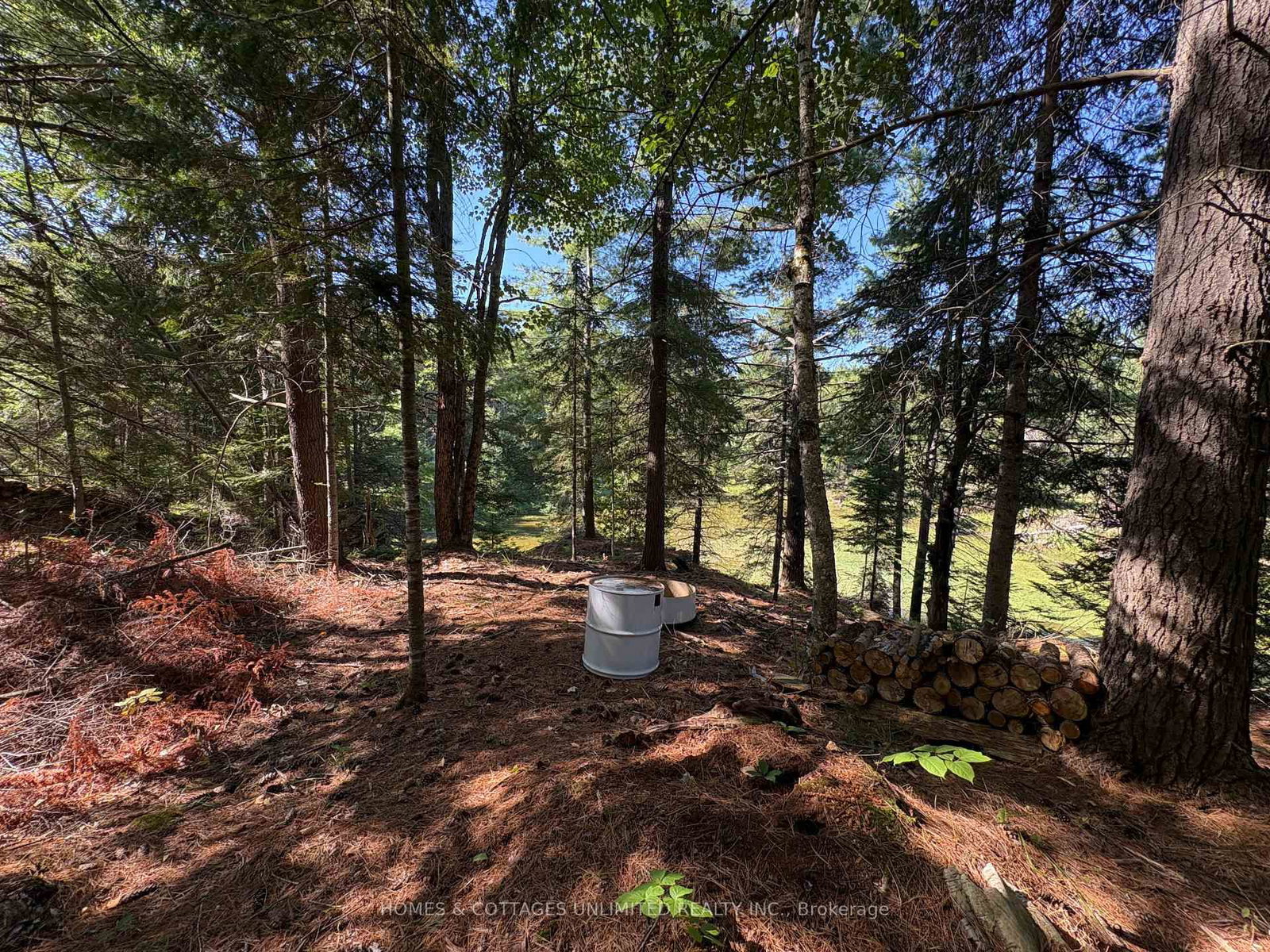 Listing Image 11