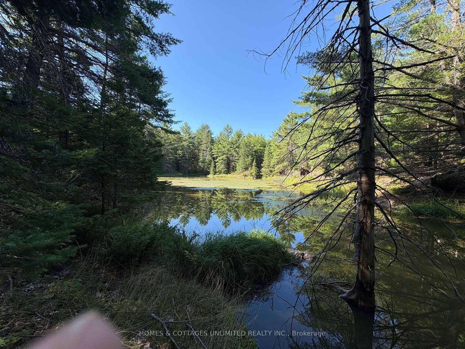 Listing Image 14