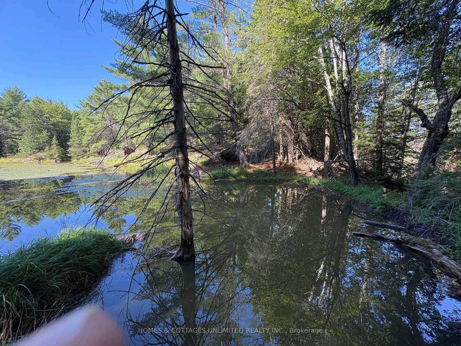 Listing Image 15