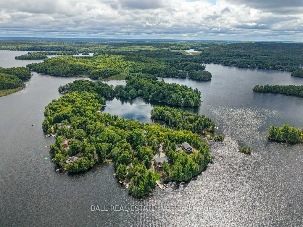 Listing Image 49