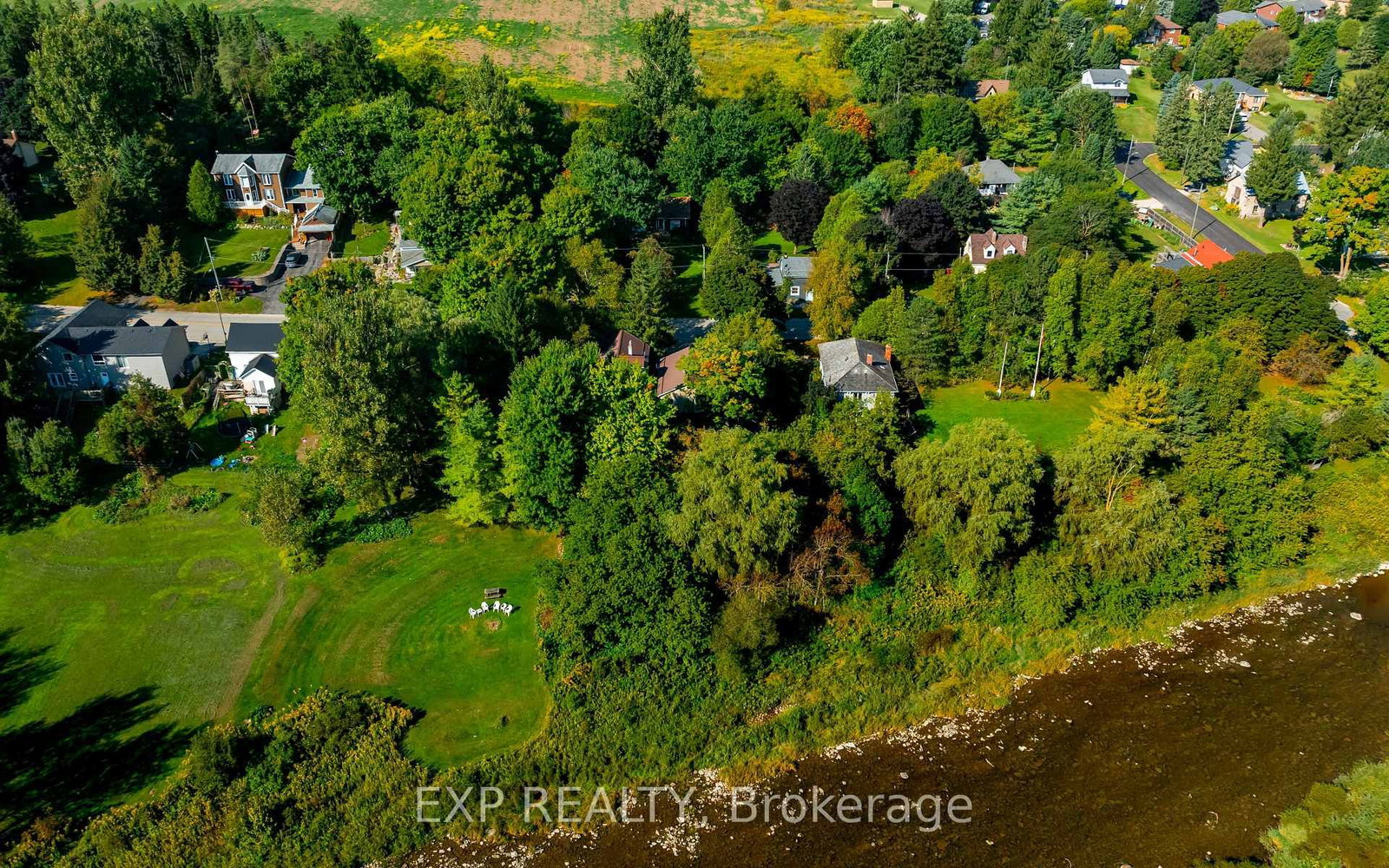 Listing Image 39