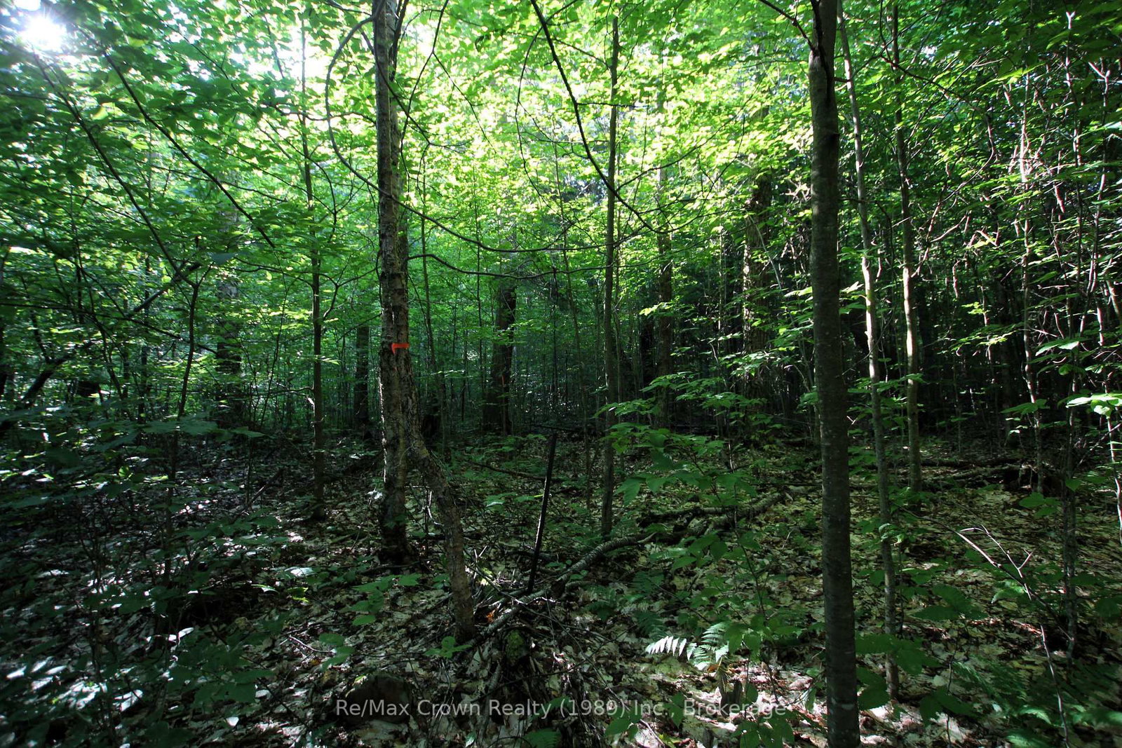 Vacant Land sold at 0 Hwy 522 Highway, Parry Sound Remote Area, Ontario, P0H 2R0 - Pringle - MLS: X12373225