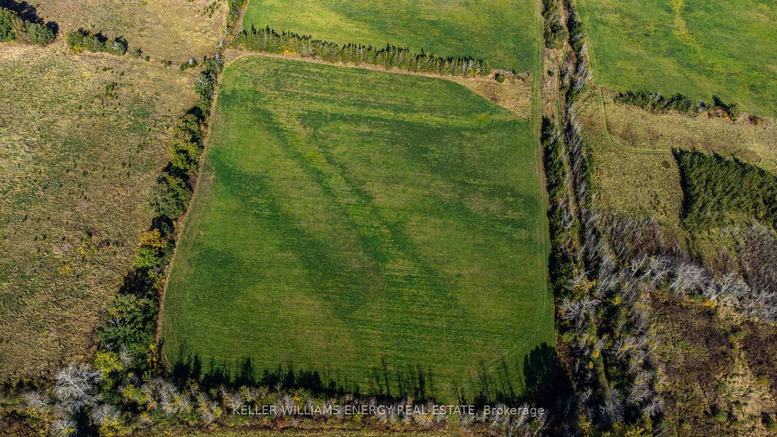 Listing Image 33
